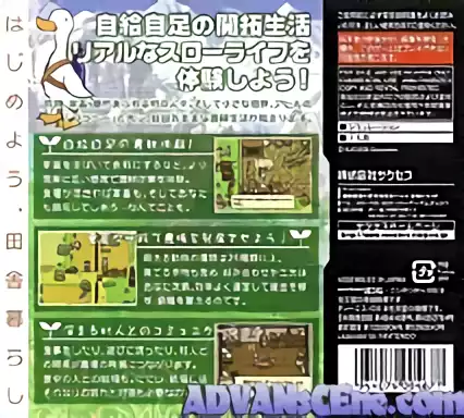 Image n° 2 - boxback : Hakoniwa Seikatsu - Hitsuji Mura DS